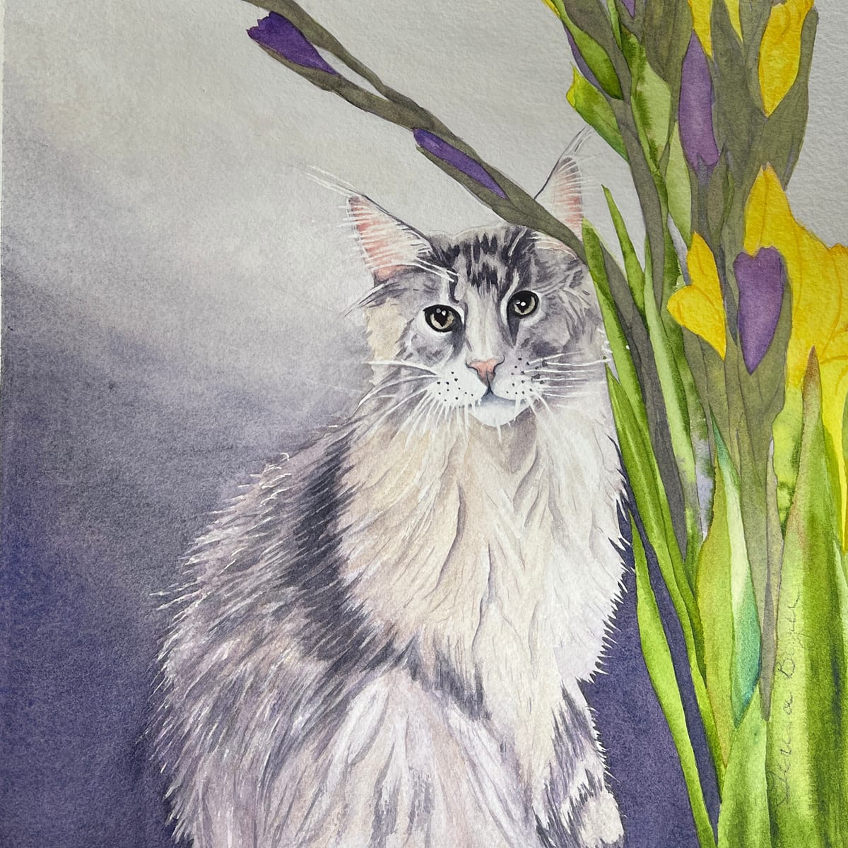 Tigger with Glads by Teresa Beyer   Image: Tigger with Glads