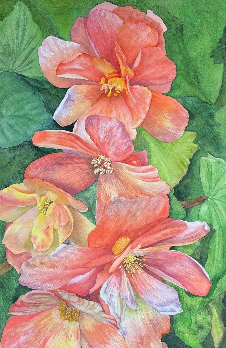 Begonia Bouquet by Teresa Beyer 