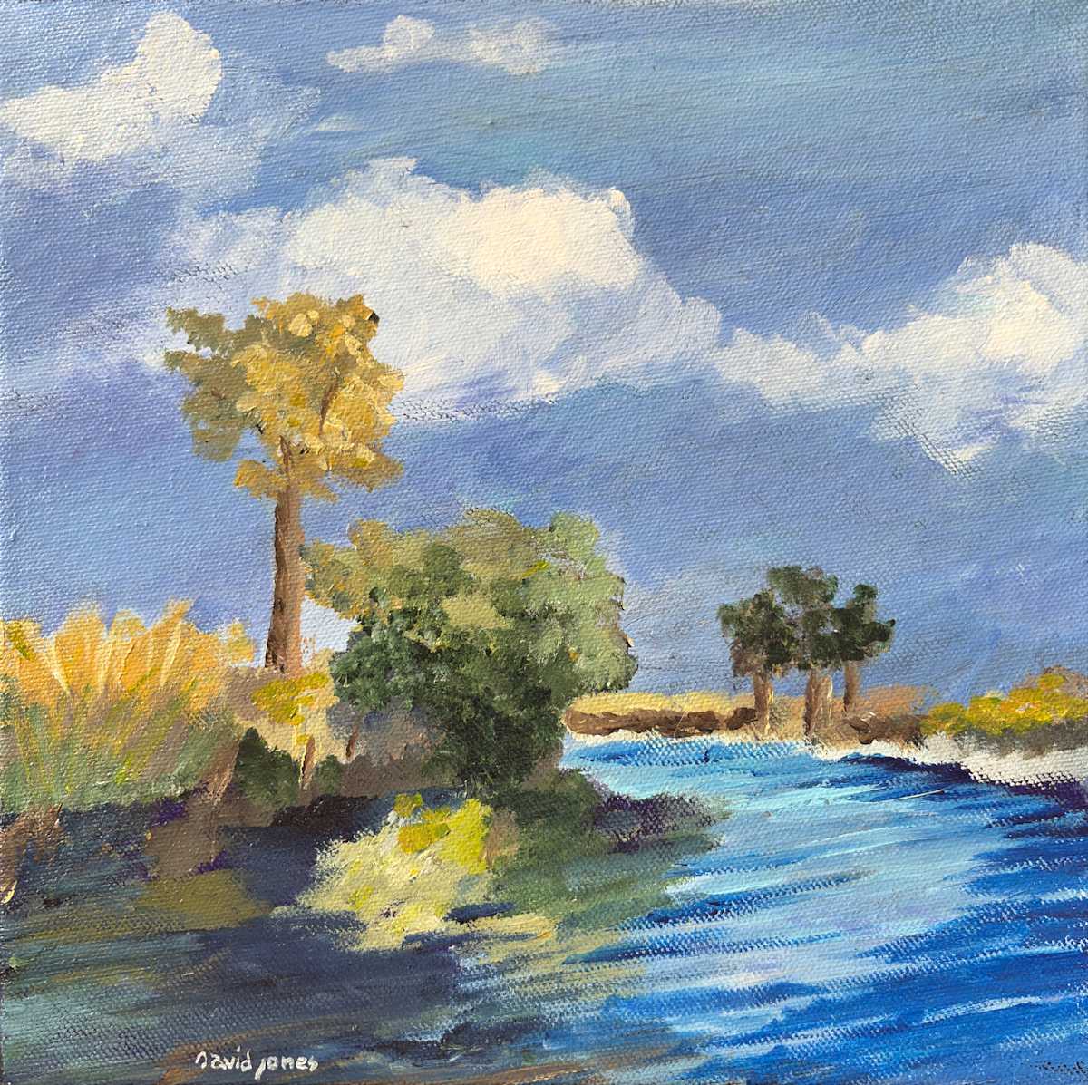 Bayou Bluster by Dave Jones, Image 1.