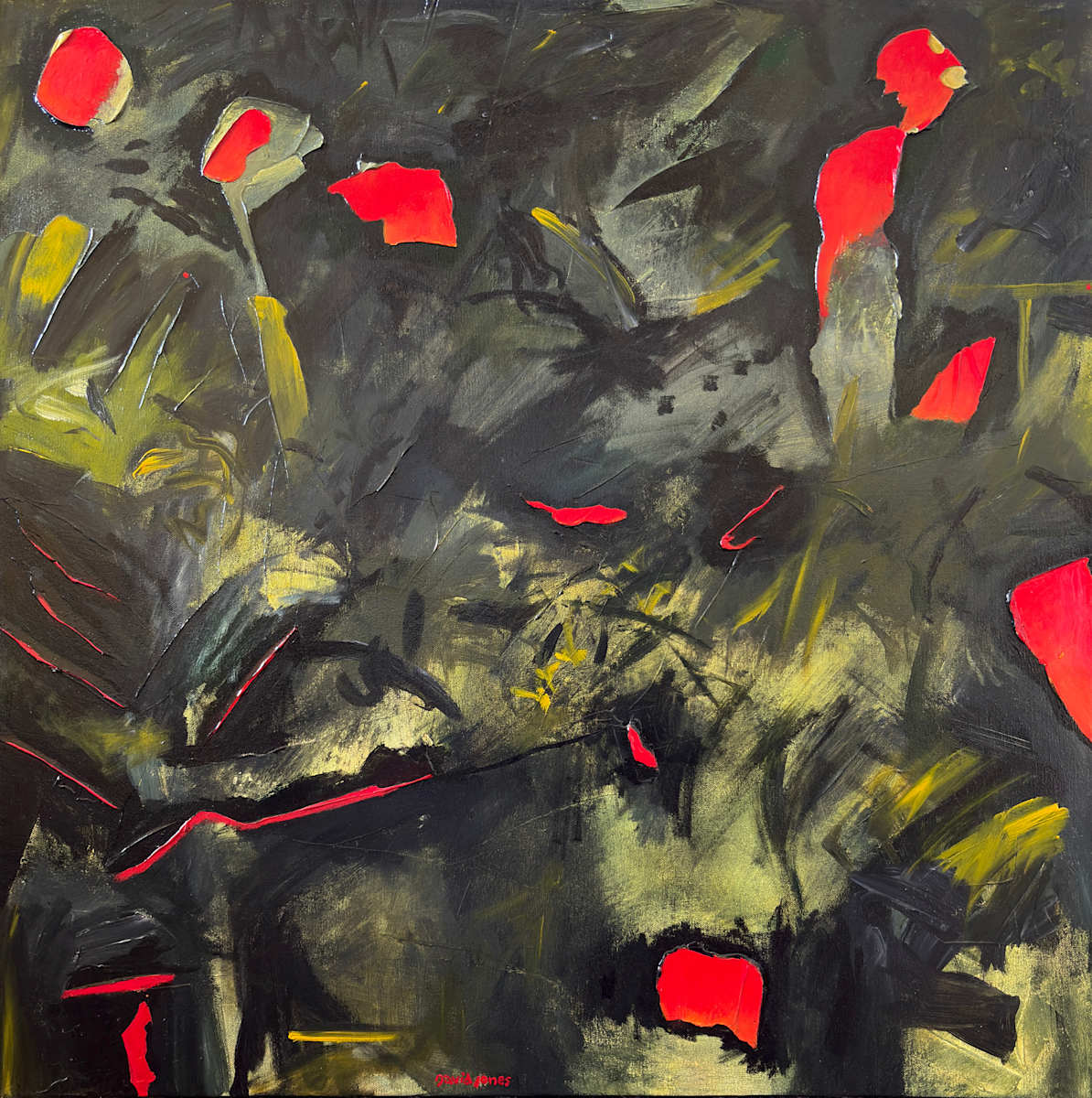 Forest At Night by Dave Jones, Image 1.
