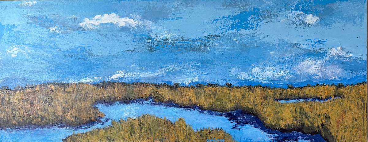 Menge Marsh by Dave Jones, Image 1.