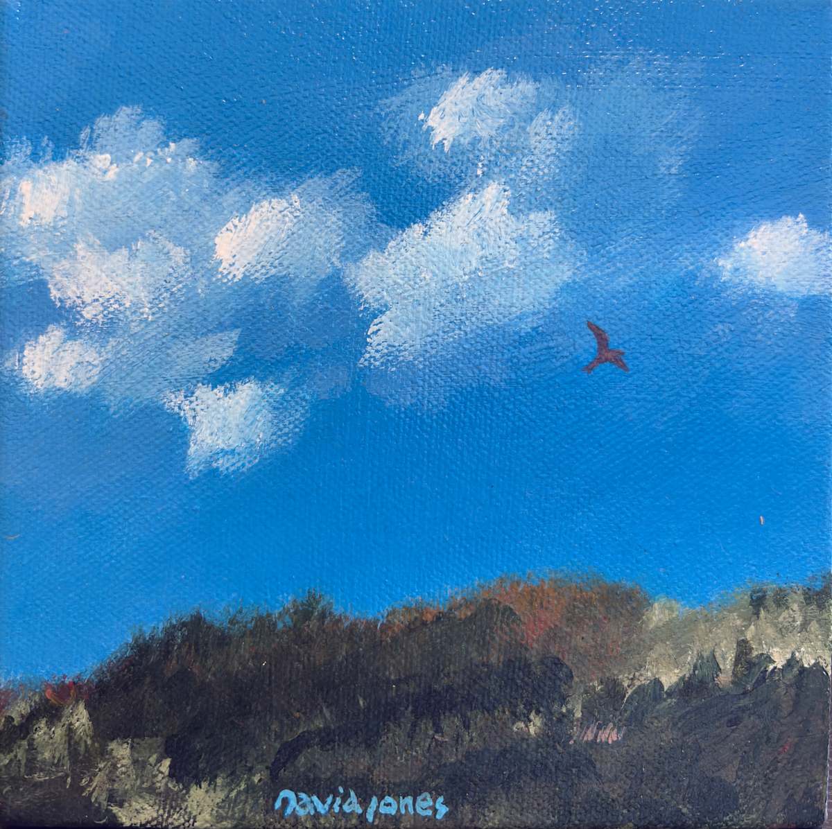 Fly Away by Dave Jones, Image 1.