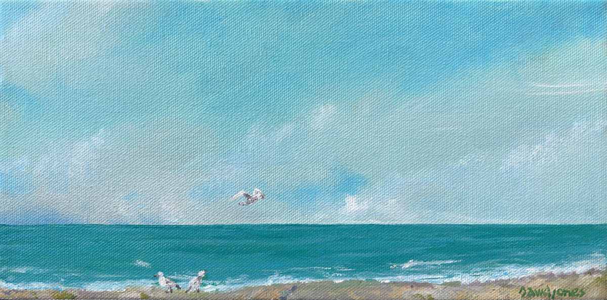 Fly Boy by Dave Jones, Image 1.