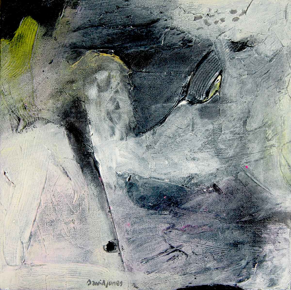 bog10x10_yj3yzc_2 by Dave Jones, Image 1.