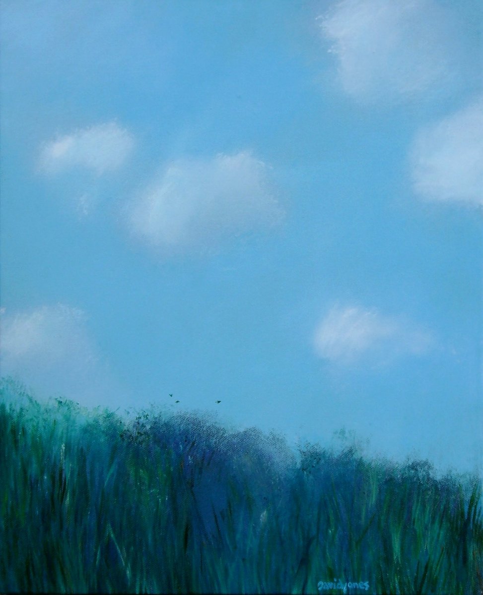 buzzyair_srey8l_13 by Dave Jones, Image 1.