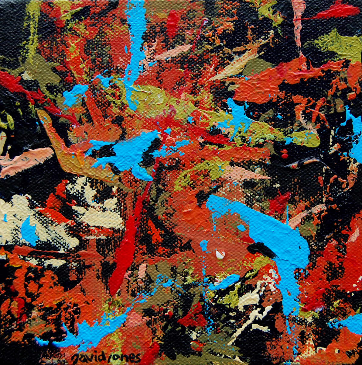 dropandroll6x6_zbzt8g_8 by Dave Jones, Image 1.