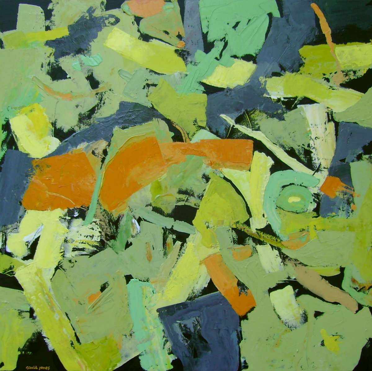 fernacres36x36_ylqmsm_12 by Dave Jones, Image 1.