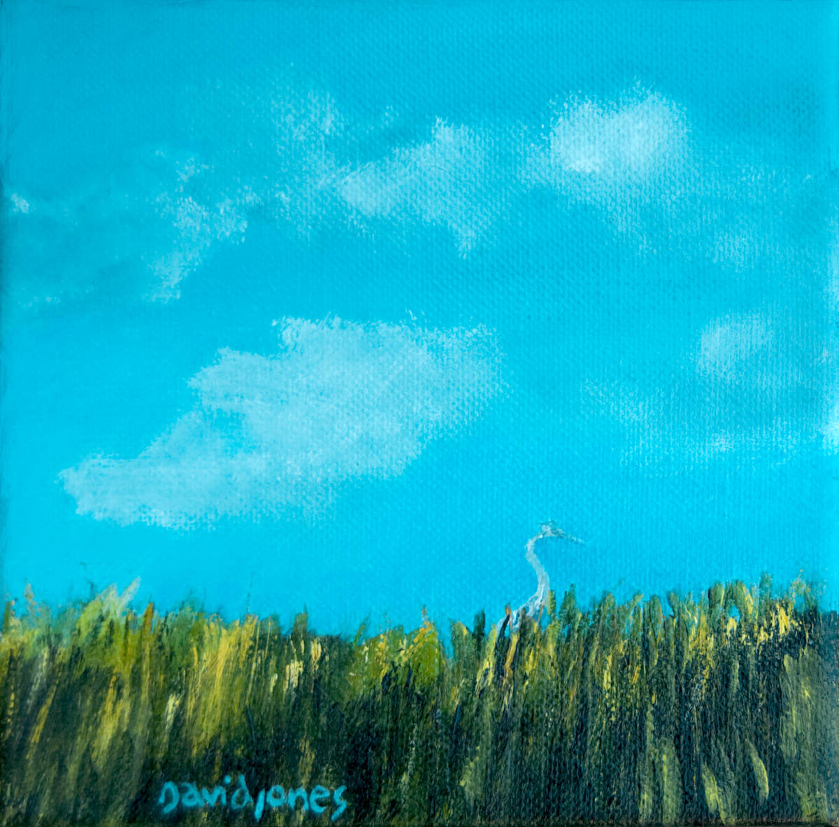 fishing6x6_zwamgi_19 by Dave Jones, Image 1.