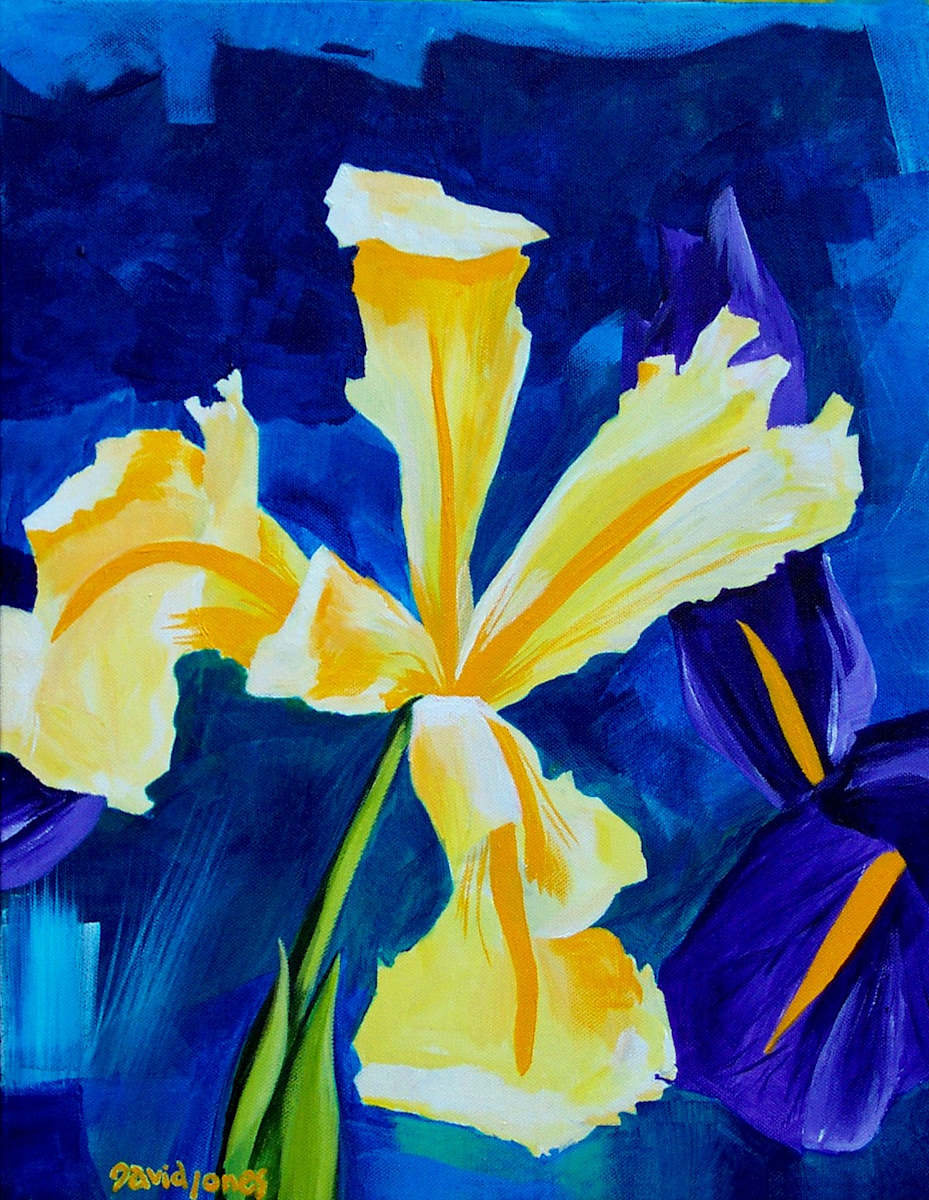 flowerfight_cyxs9w_7 by Dave Jones, Image 1.