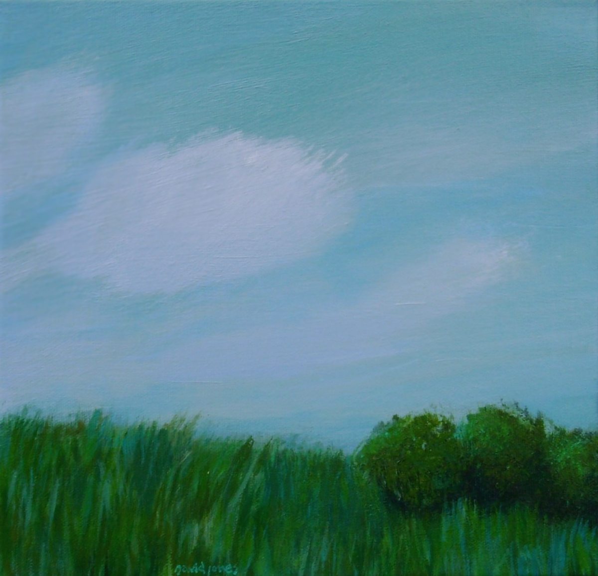 hazymeadow_nuilfx_2 by Dave Jones, Image 1.