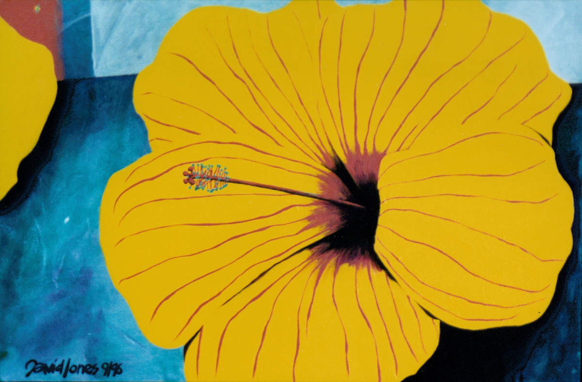 hibiscuit_c6iz5p_10 by Dave Jones, Image 1.