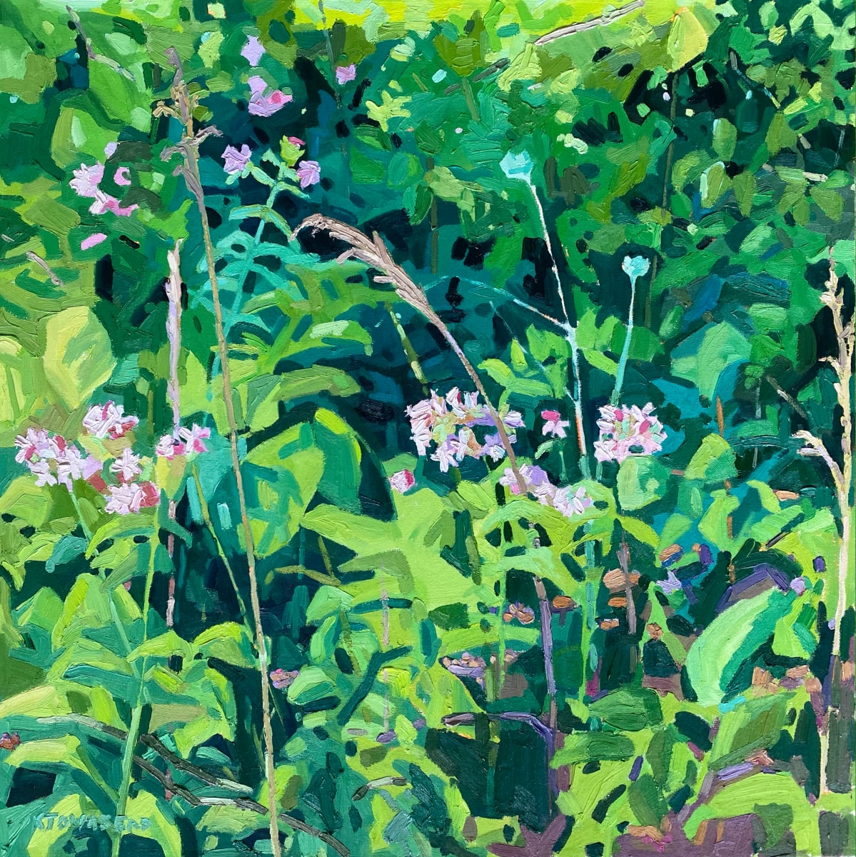 Bouncing Bet on the Blue Ridge by Krista Townsend 