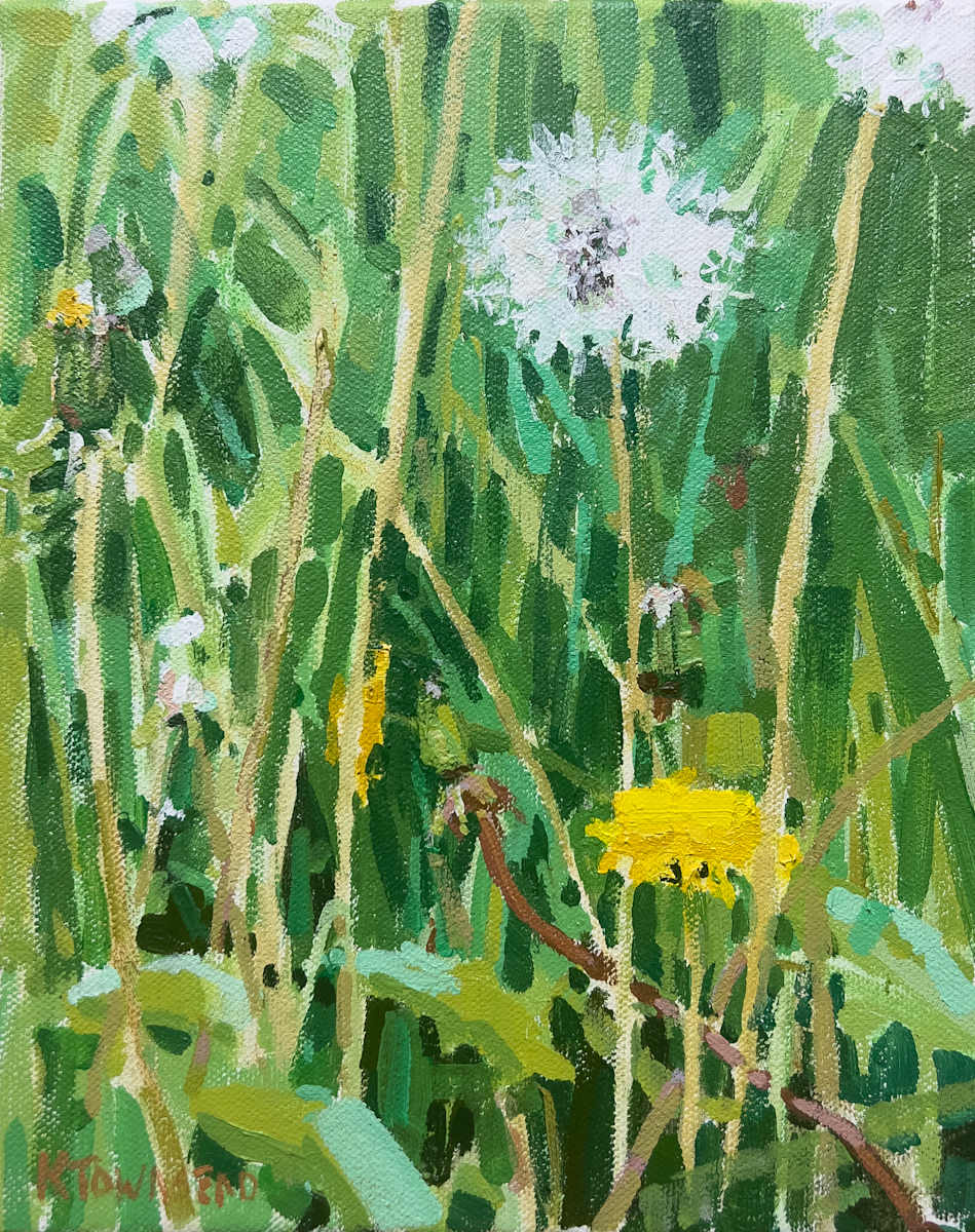 Dandelion Study by Krista Townsend, Image 1.