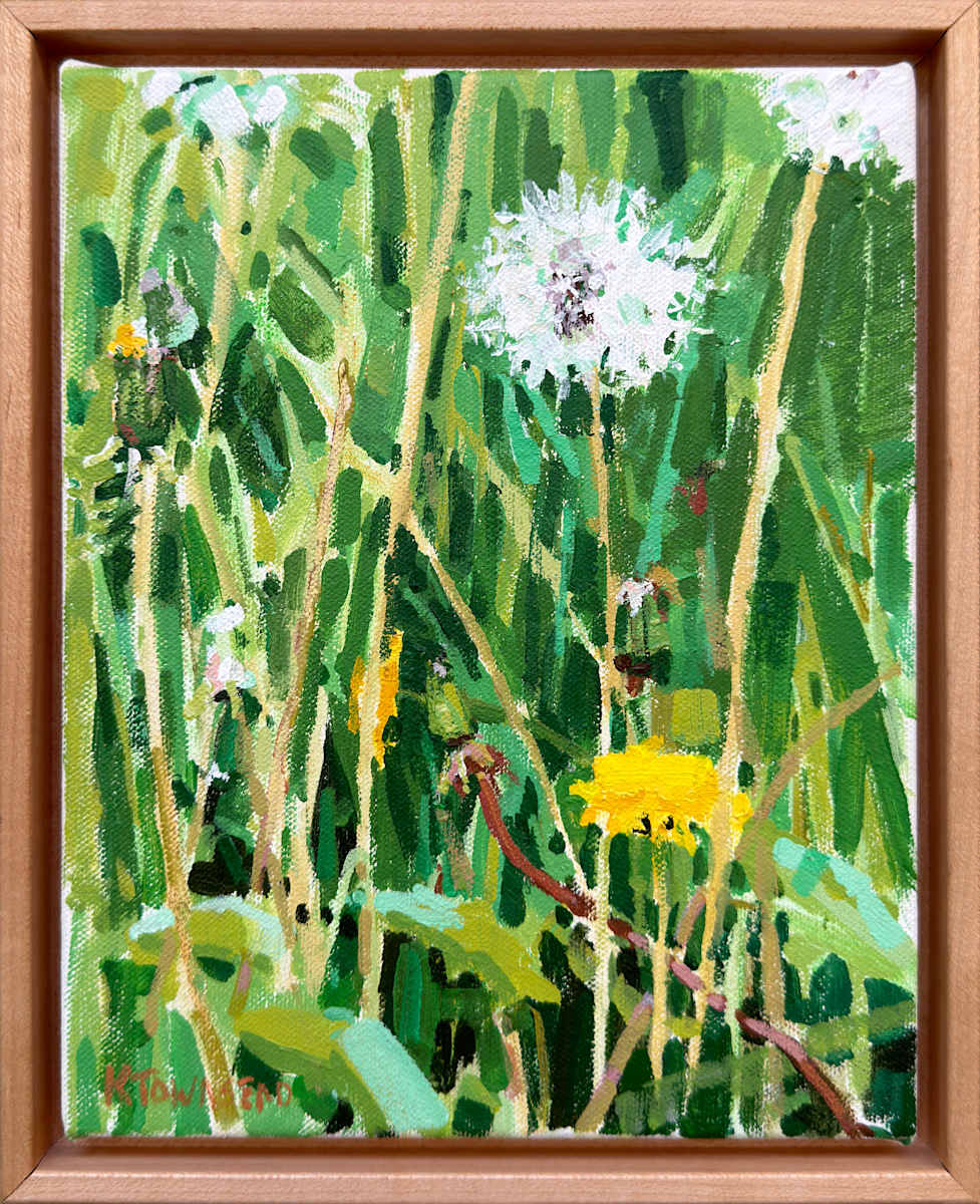 Dandelion Study by Krista Townsend, Image 1.