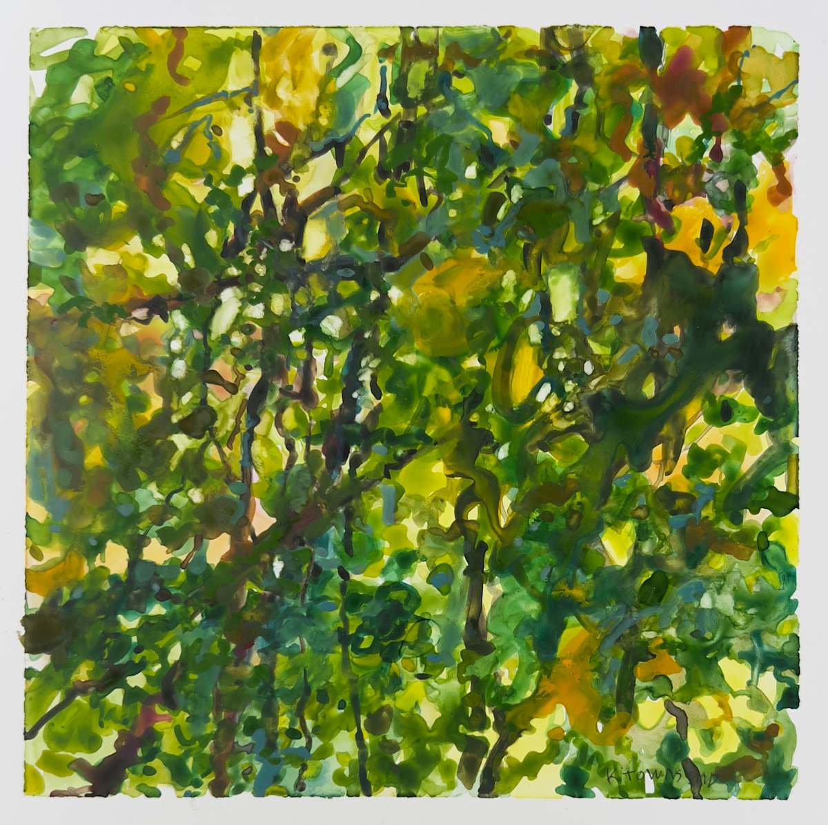 Camouflage (study) by Krista Townsend 