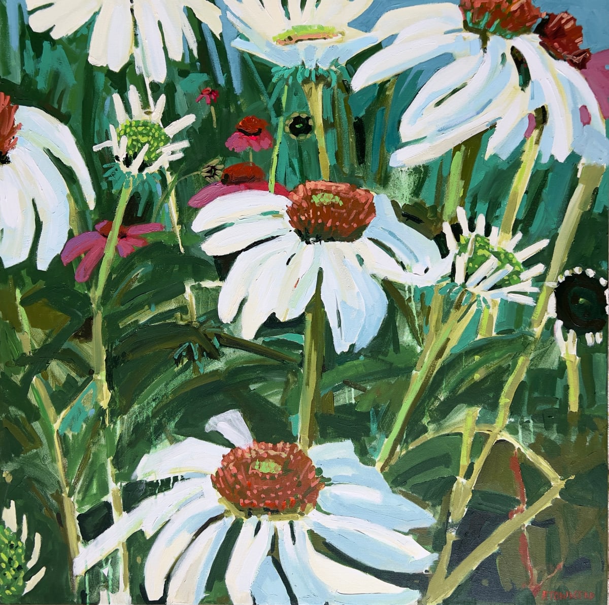 White and Pink Echinacea by Krista Townsend 