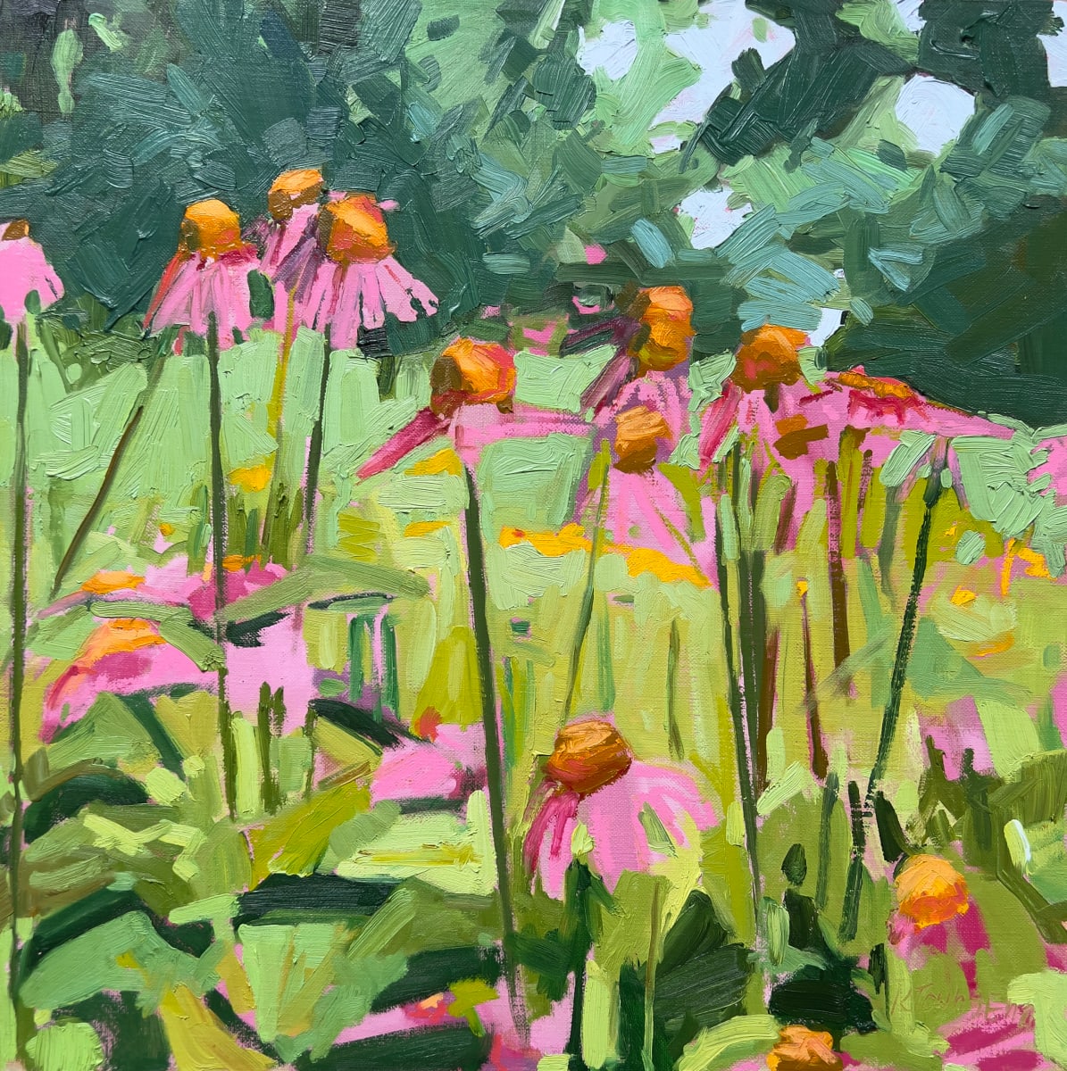 Pink Echinacea Near Woods 
