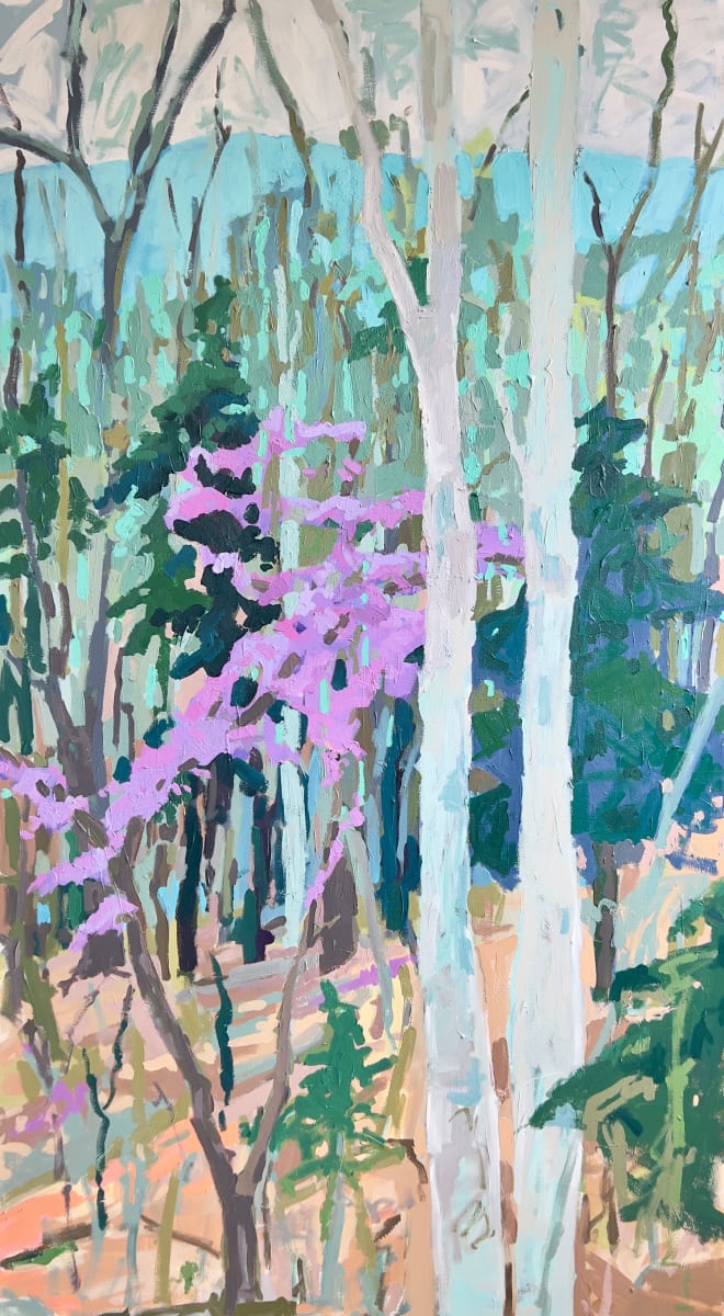 Redbud and Birch 