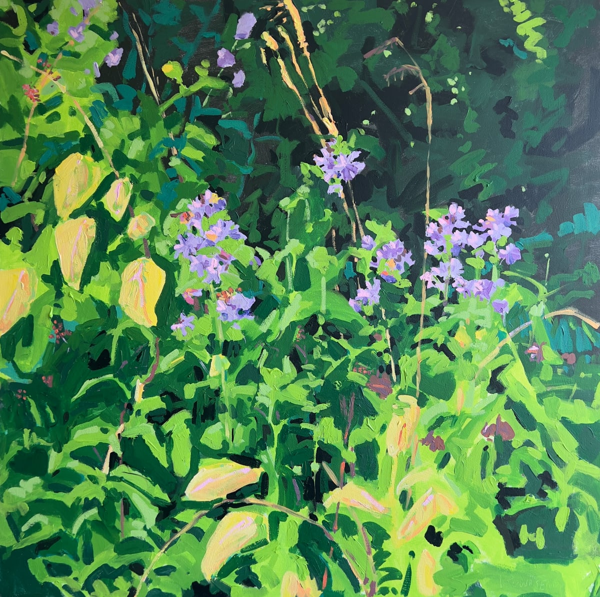 Soapwort by Krista Townsend  Image: The painting from the front