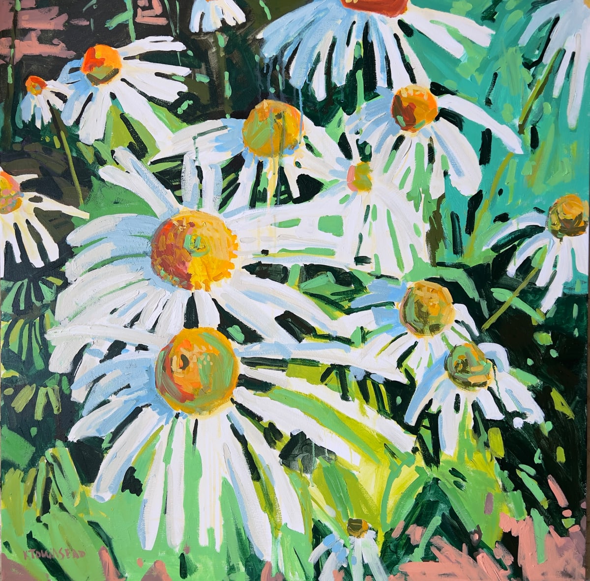 White Echinacea by Krista Townsend 