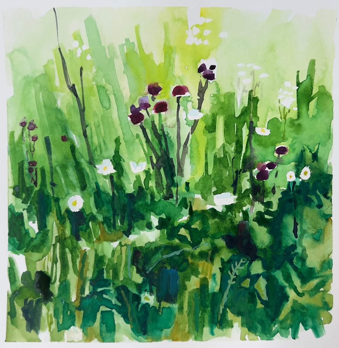 Wildflowers (study) by Krista Townsend 