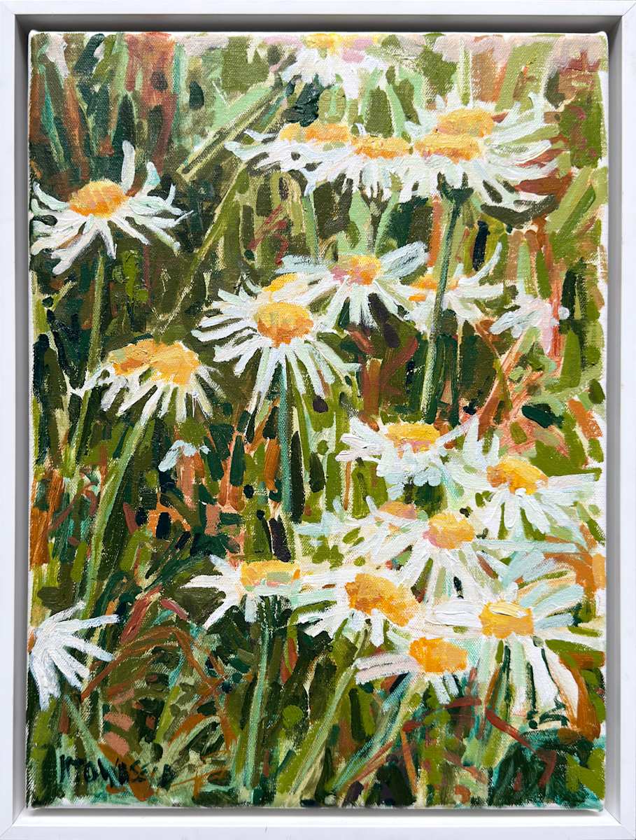Daisy Study 2 by Krista Townsend, Image 1.