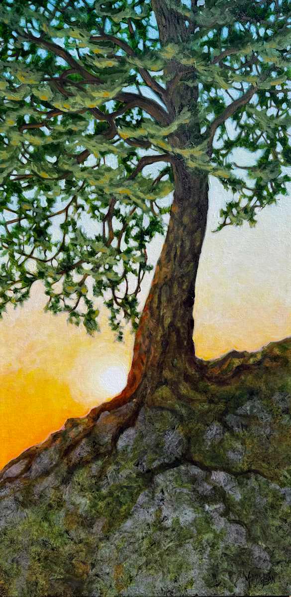Rooted in Hope by Melissa Jean 