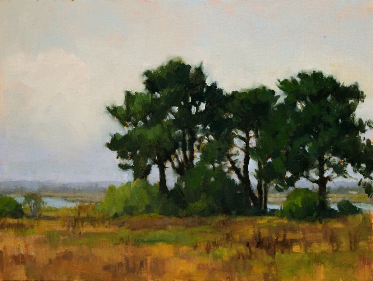 Arcata Marsh Pines by Kathy O'Leary 
