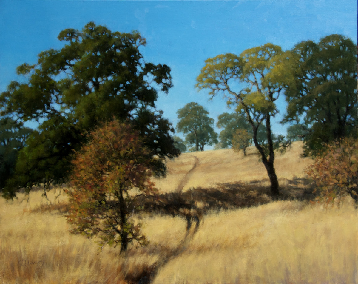 Blue Oaks  In Fall by Kathy O'Leary 