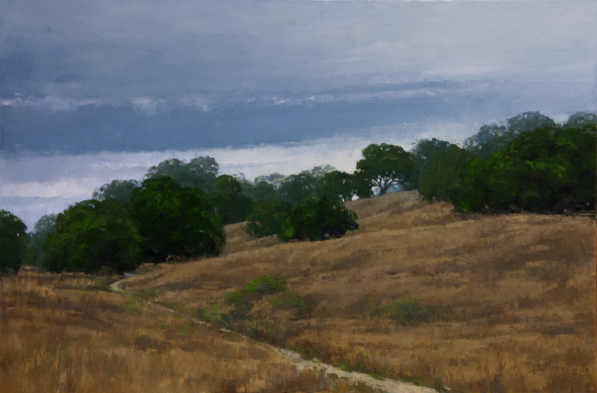 Live Oaks - Deer Island (Marin County, Ca) by Kathy O'Leary 