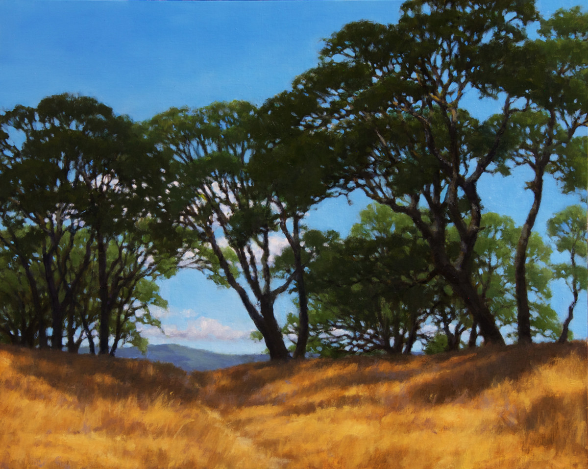 Deer path Through the Oaks (Hopland) by Kathy O'Leary 