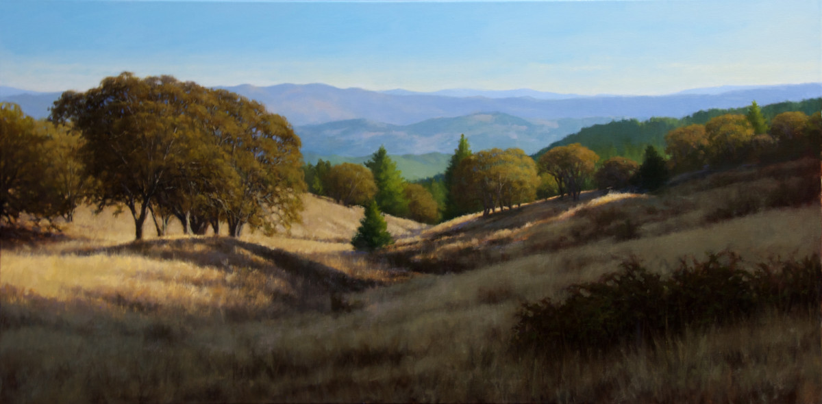 Oaks In Light & Shadow by Kathy O'Leary 