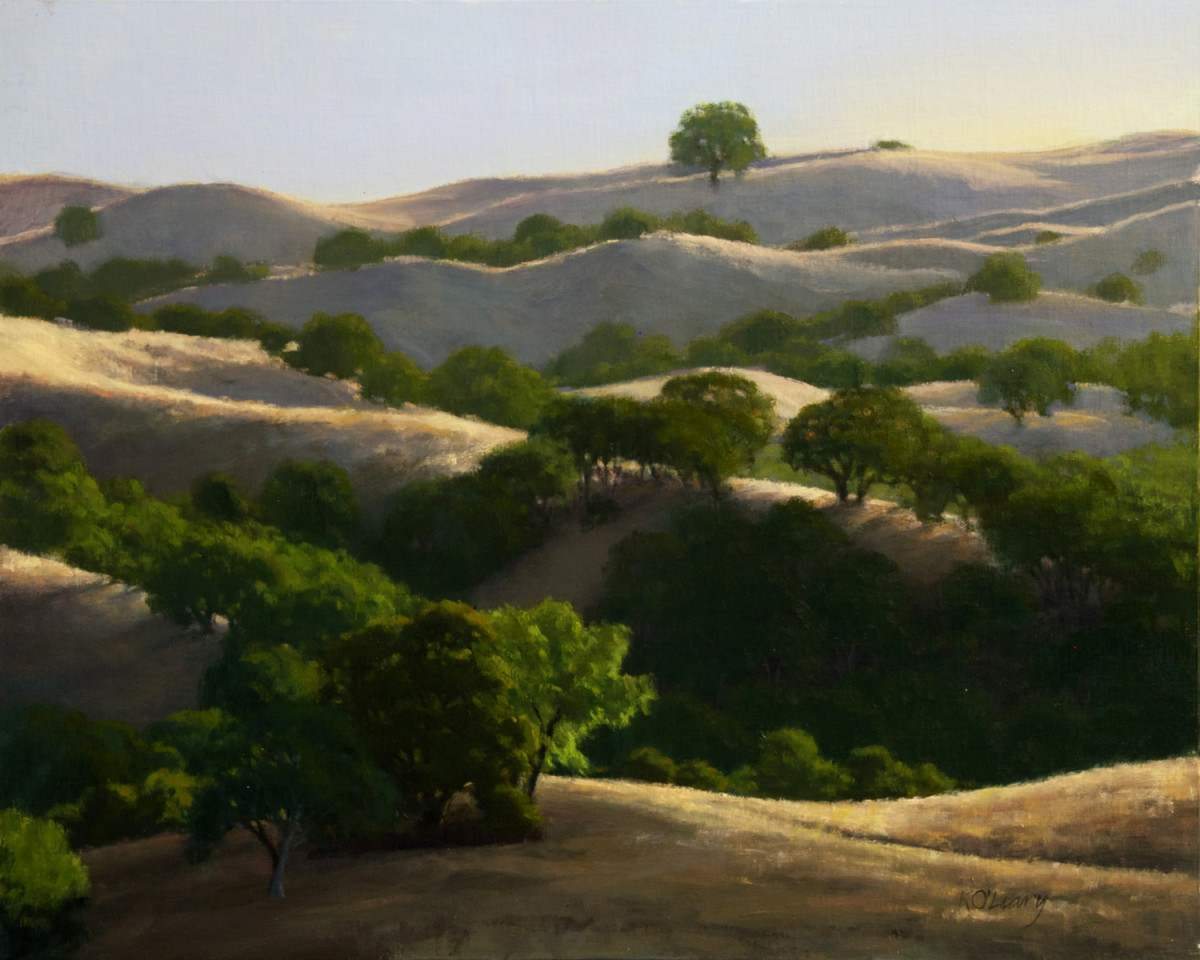 Morning Light on the Oaks (Joseph Grant Park) by Kathy O'Leary 