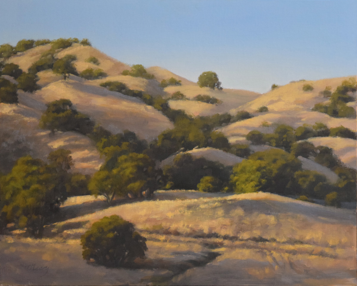 Morning Sunlight and Oaks by Kathy O'Leary 