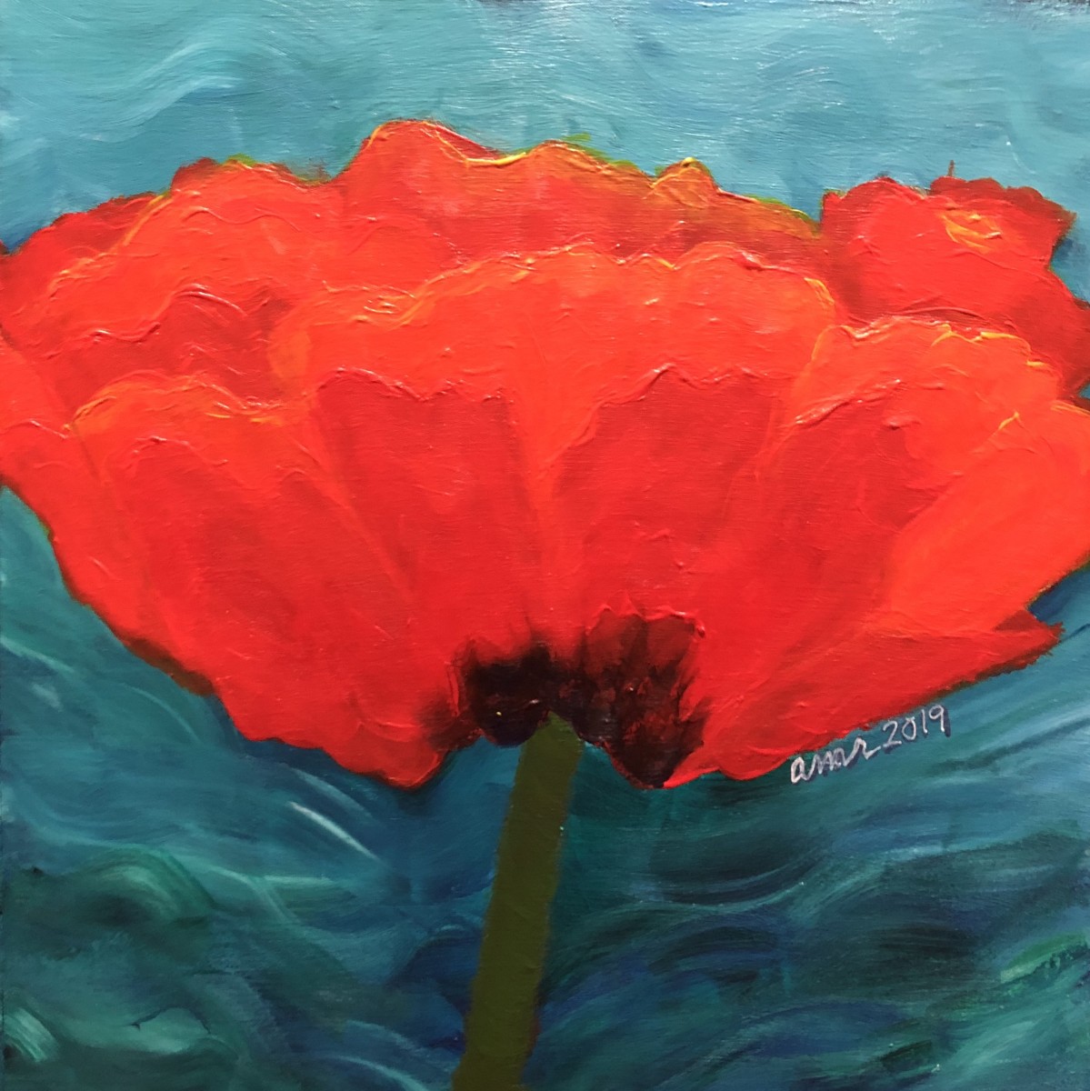 Red Poppy by Amelia Reimer 