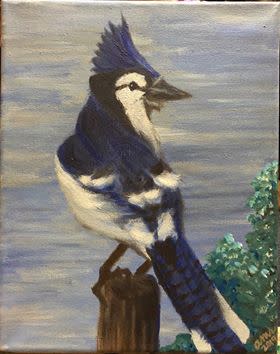 Eastern Blue Jay by Amelia Reimer 