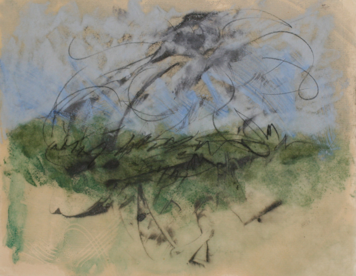 Murmuration by Carol L Myers 