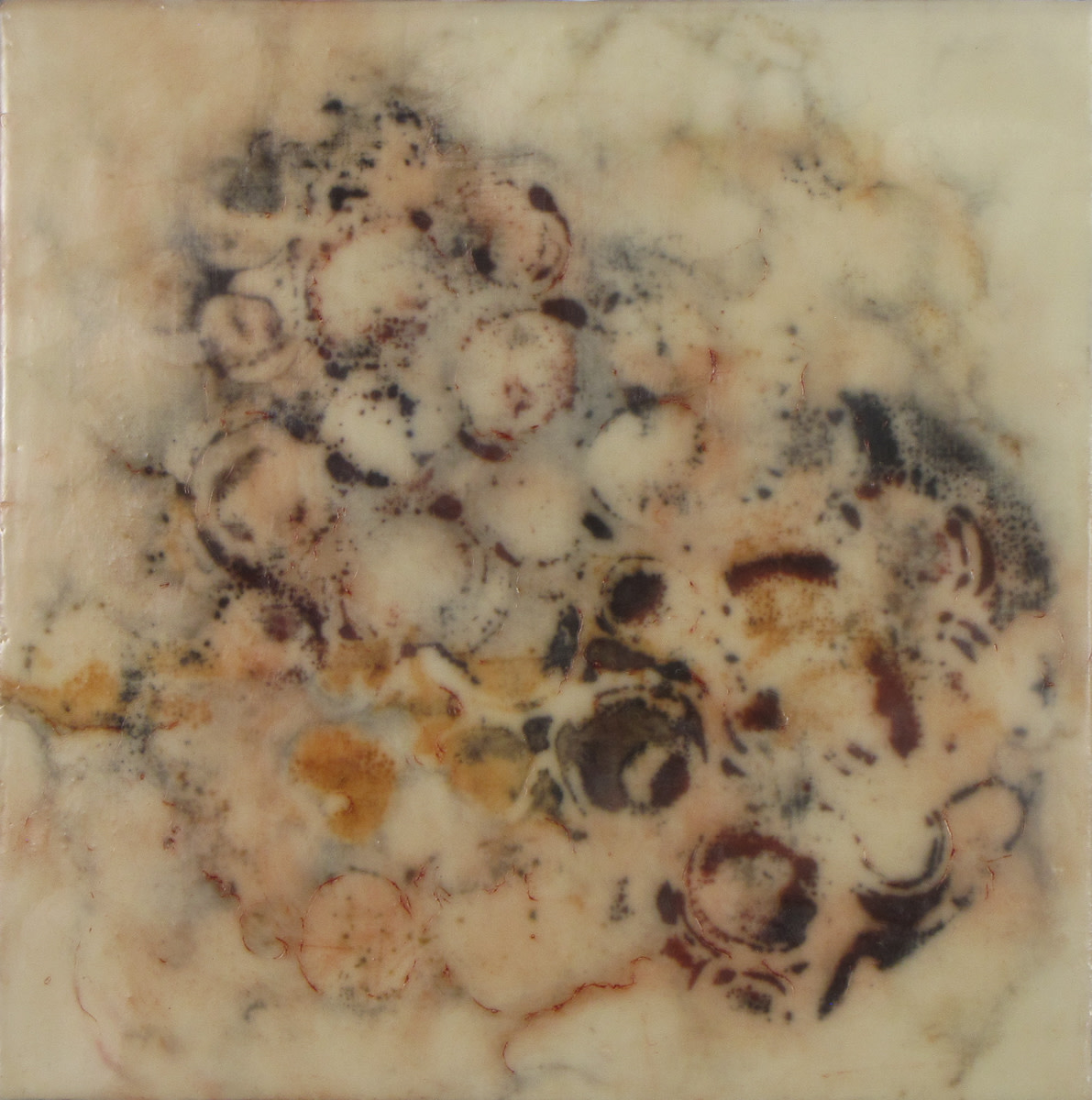 Remnant by Carol L Myers 