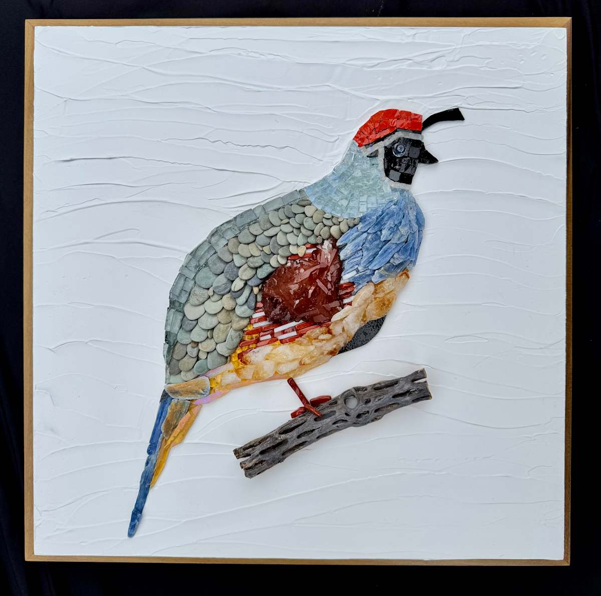 Gambel Quail by Donna Hoyack, Image 2.