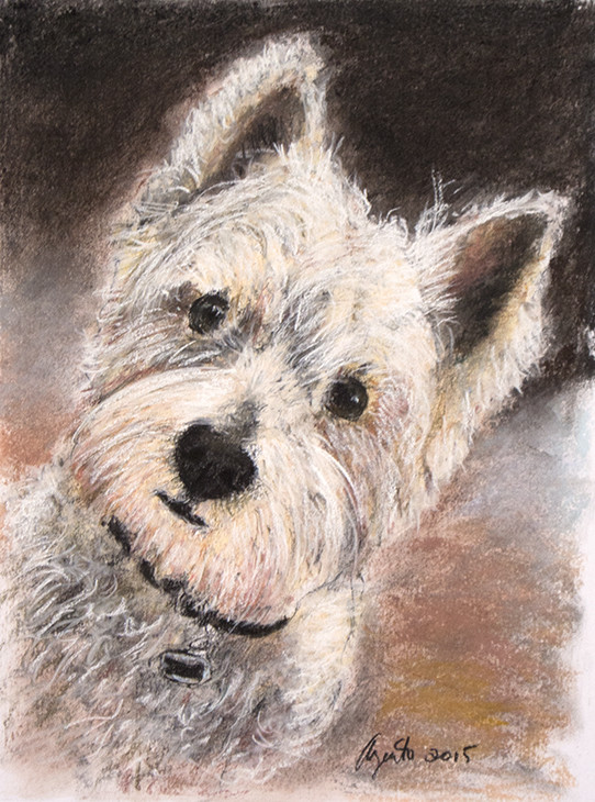 Cooper by Frank Argento 