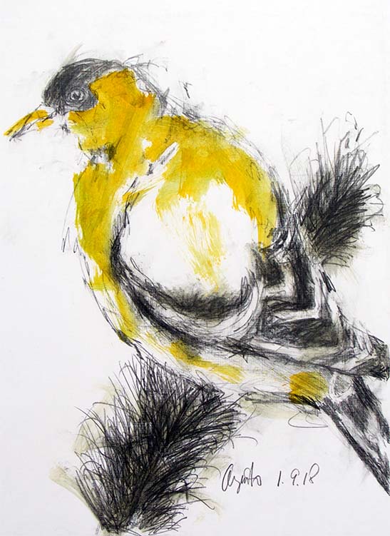 Goldfinch by Frank Argento 