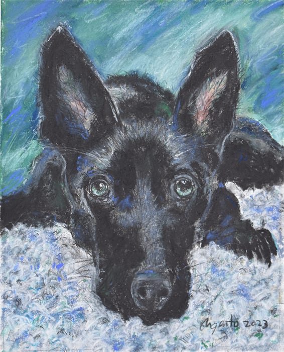 Harley (blue) by Frank Argento 