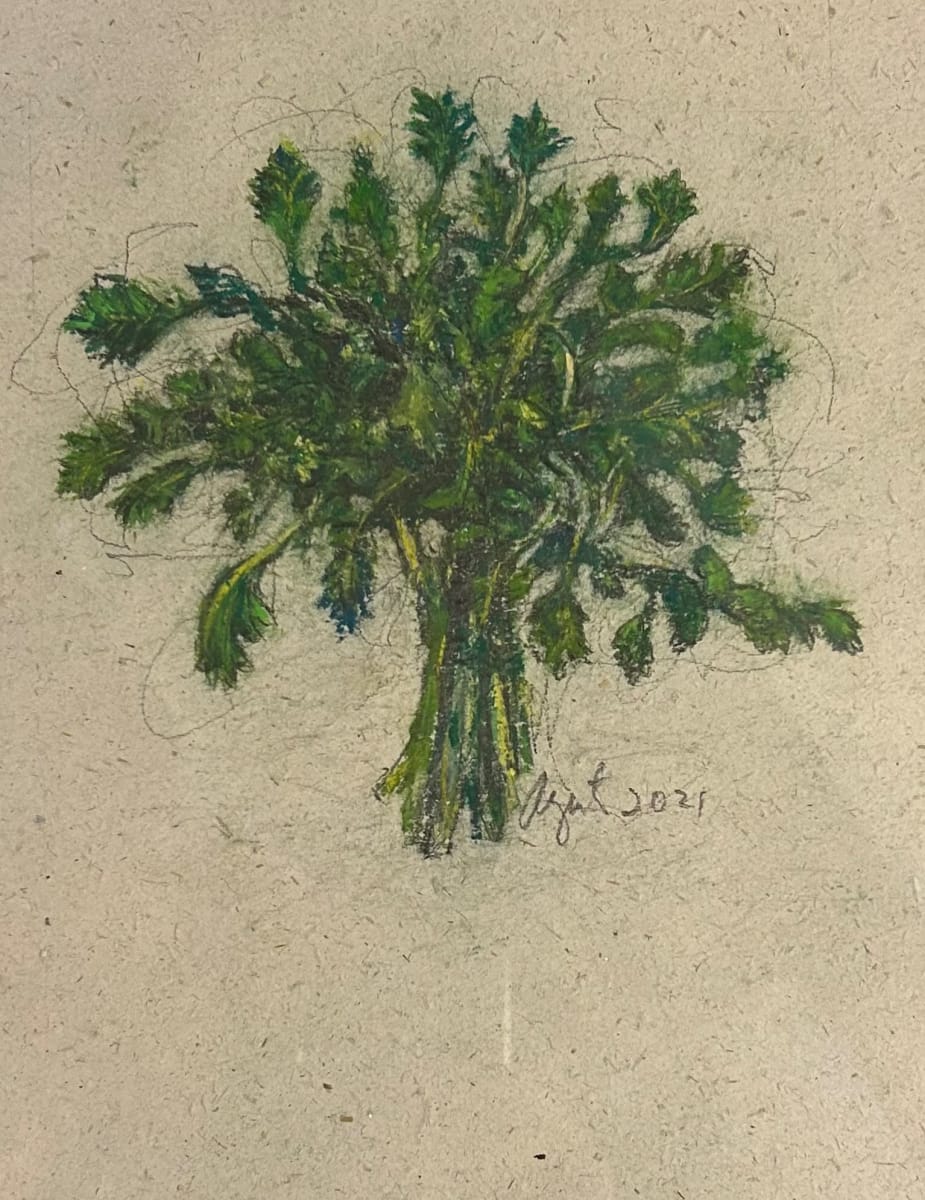 Parsley by Frank Argento 