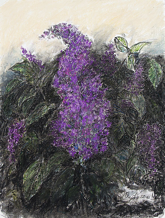 Lilac in Dark Purple by Frank Argento 