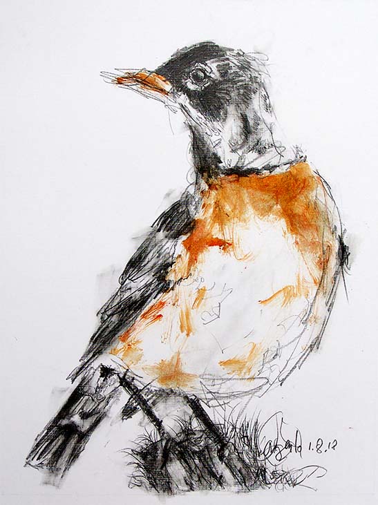 Robin by Frank Argento 