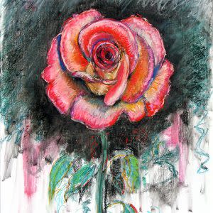 Una Rosa by Frank Argento 