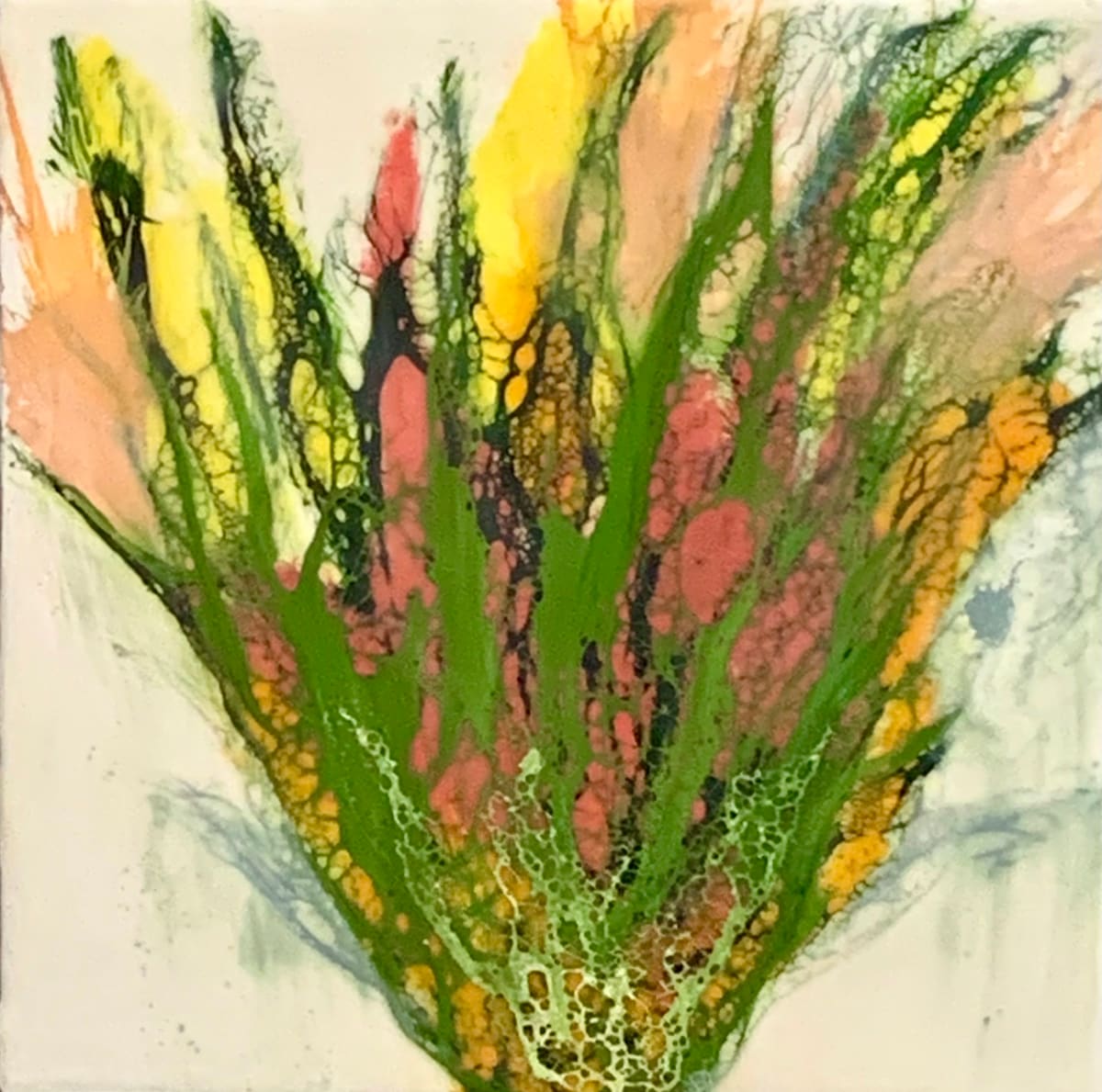 Sunrise by Alane Holsteen 