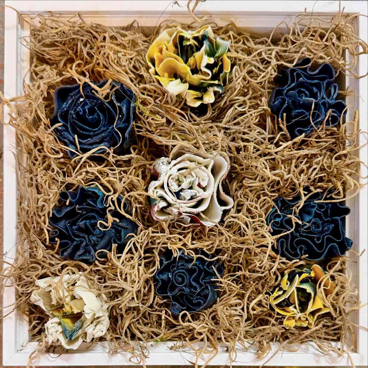 Vitalis by Alane Holsteen, Image 1.