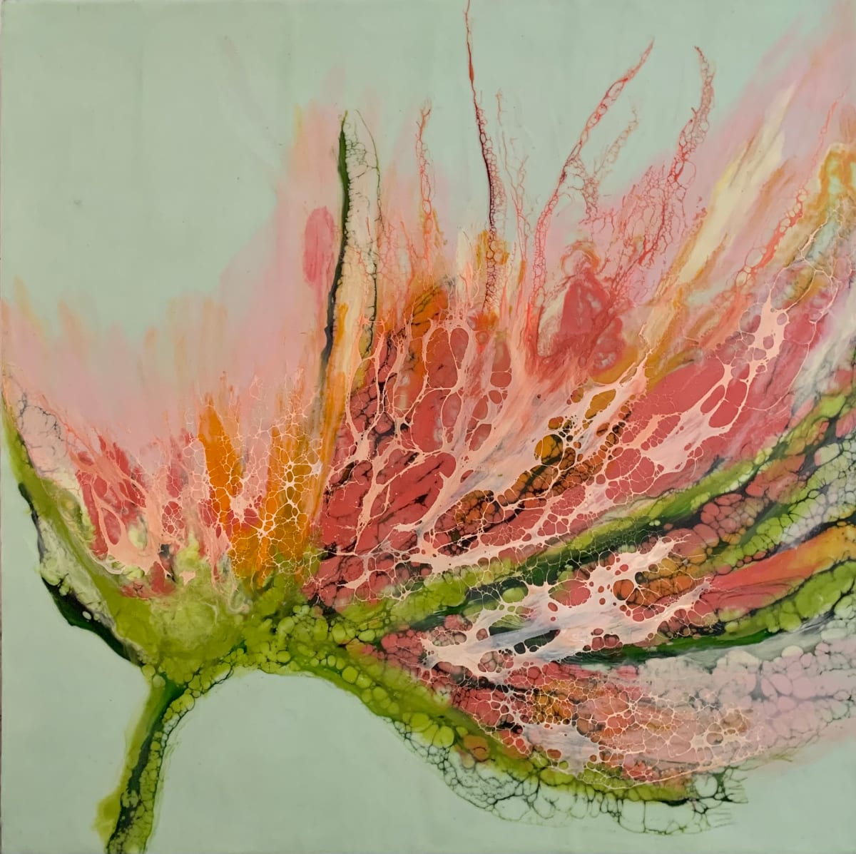 Aurora by Alane Holsteen 