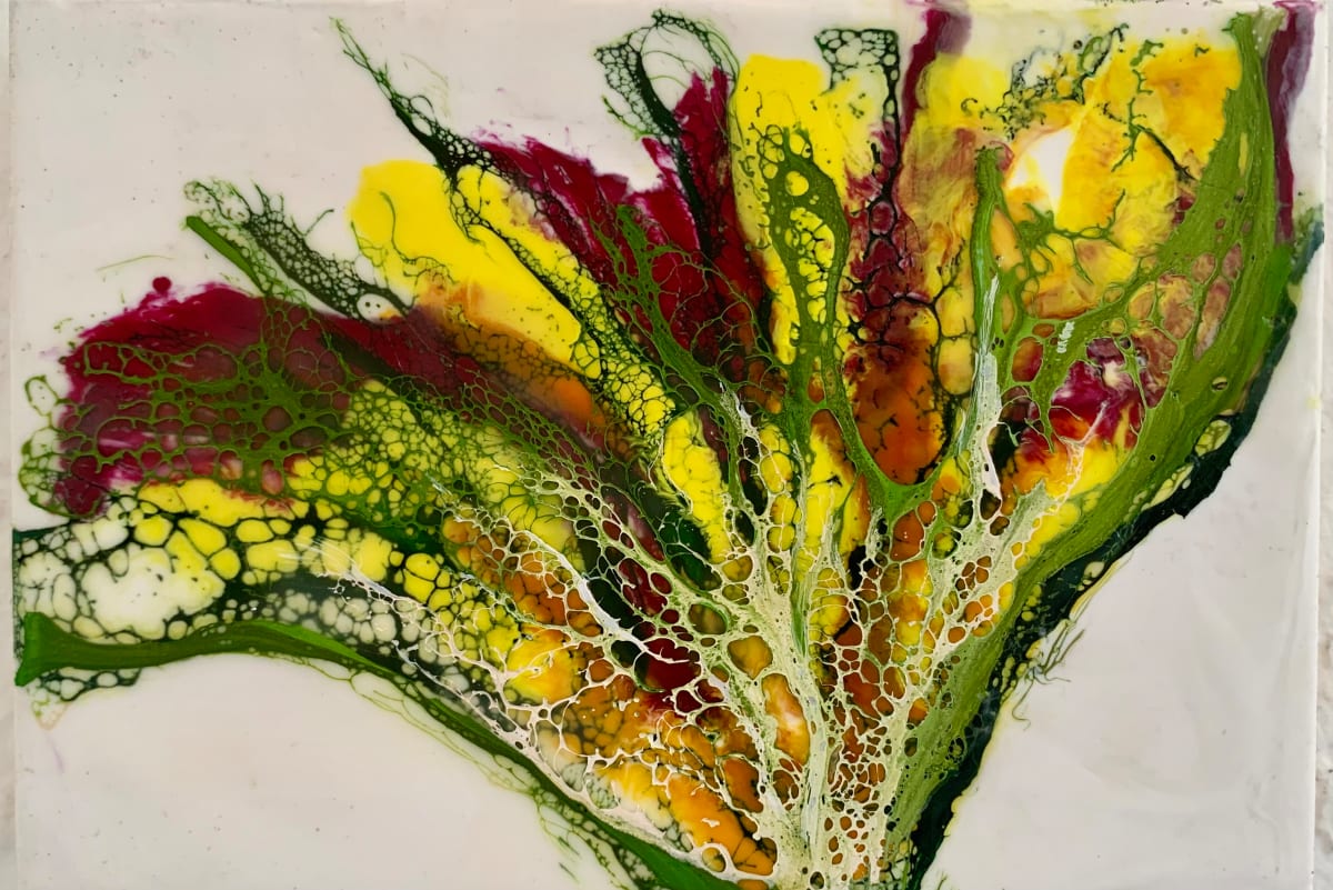 Flora 7 by Alane Holsteen 